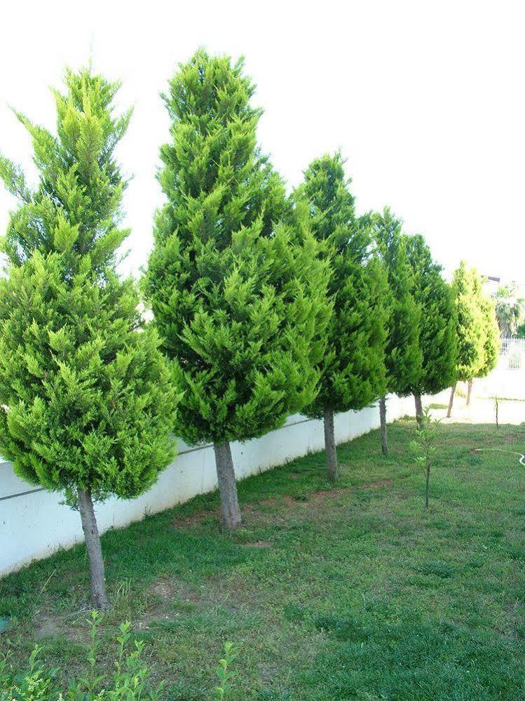 Belek Golf Apartments Bagian luar foto